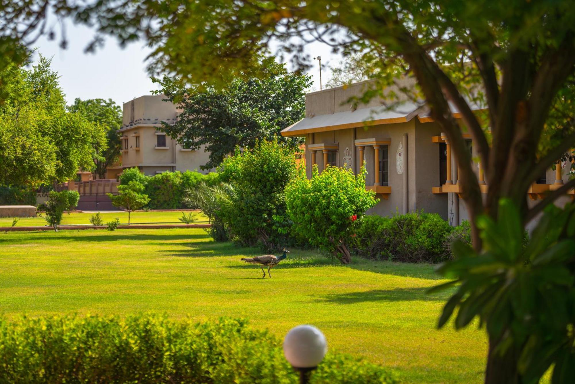 Thar Oasis Resort And Camp Dechu エクステリア 写真